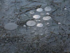 Dihanje_Stojan Spetič